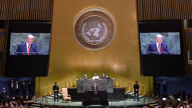 White House proposal axes UN, NATO funds and halves State Department budget