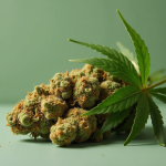 Tilray stock forms a risky pattern: Jan. 8 will be key